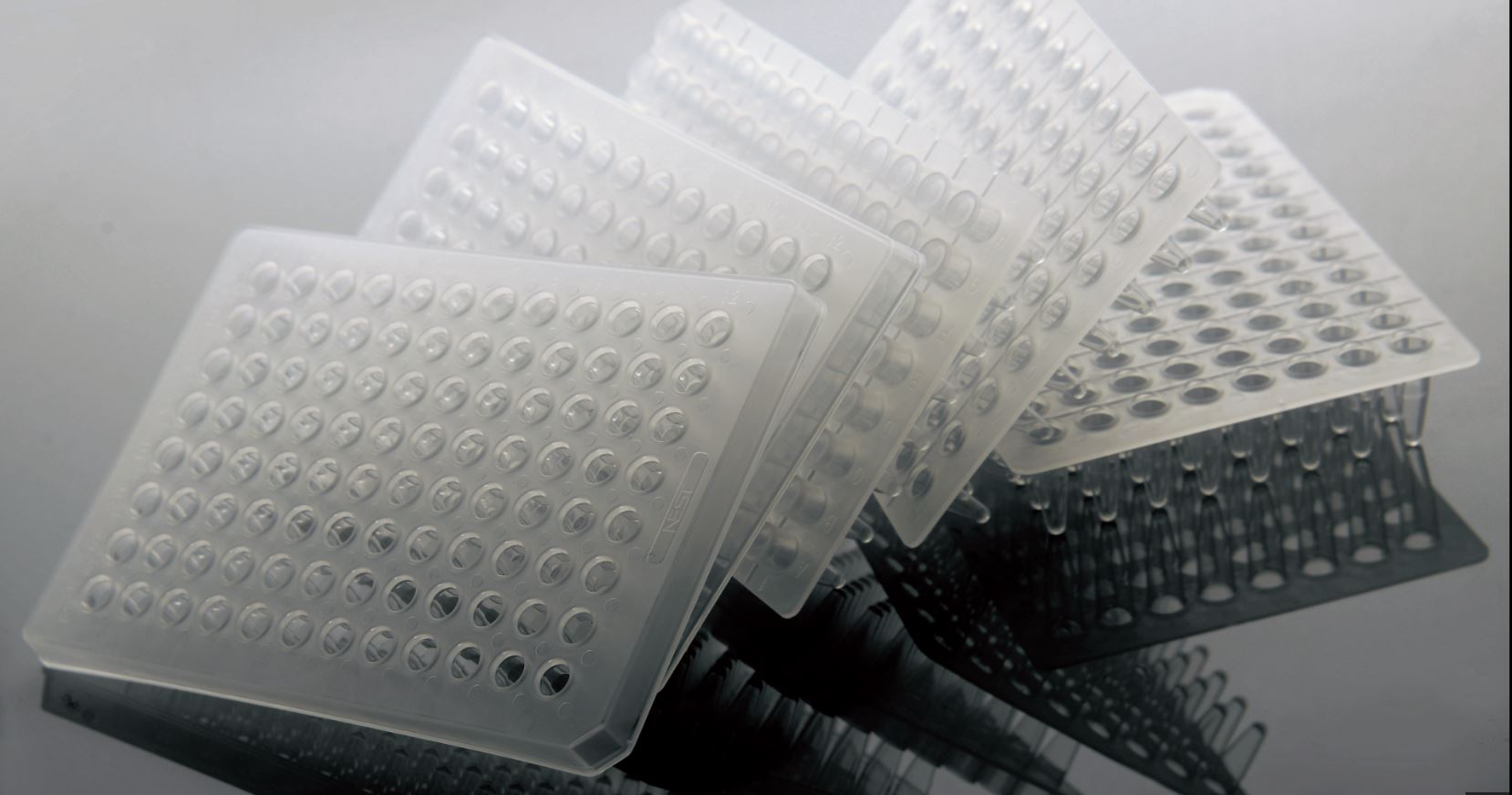NEST 40 μl 384 Well PCR Plates, Semi Skirt, Compatible with Roche Machine, White, A24 Notch, Sterile, 10/pk, 50/Box