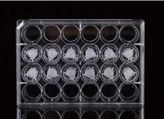 NEST 12 Cell Culture Inserts+24 Well Plate, 3 μm, PET Membrane, Non-Treated, Sterile, 12/pk, 120/Box