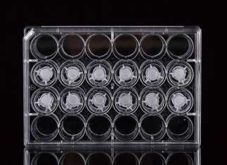 NEST 12 Cell Culture Inserts+24 Well Plate, 0.4 μm, PET Membrane, TC, Sterile, 12/pk, 120/Box