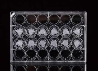 NEST 12 Cell Culture Inserts+24 Well Plate, 0.4 μm, PET Membrane, Non-Treated, Sterile, 12/pk, 120/Box