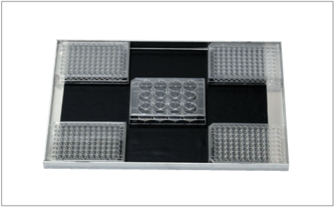 JEIOTECH SA-A542 Large Tray for OS-2000 (Microplate)