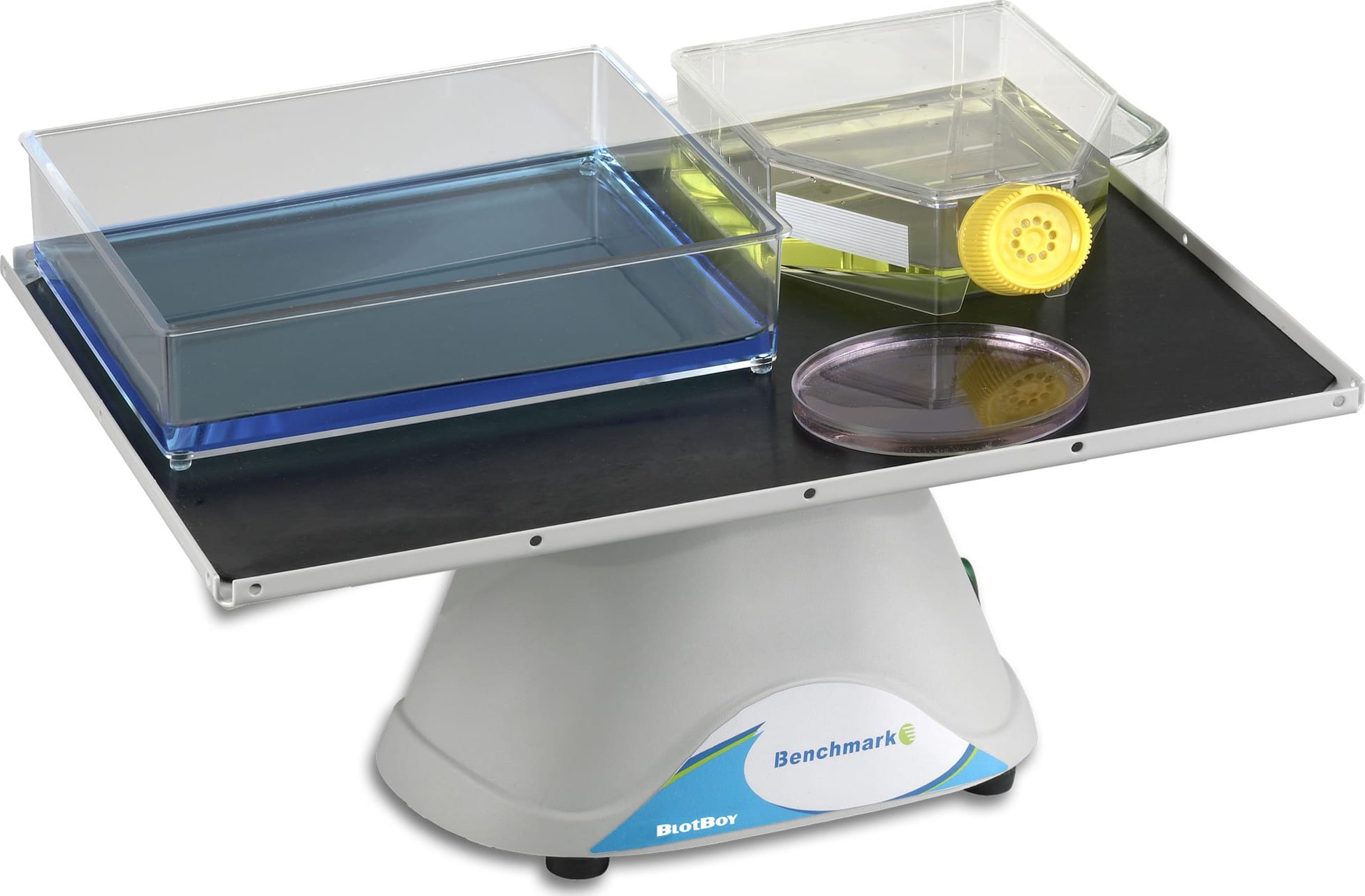 BENCHMARK Platform, 10.5 in Long, 230V, BlotBoy 3D ROCKER Fixed Speed, 12 inx12 in Platform with Flat Mat