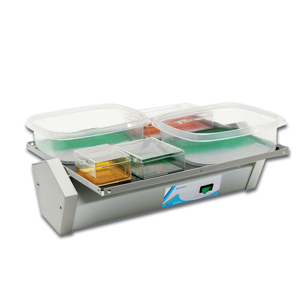 BENCHMARK BenchBlotter Fixed Speed Platform ROCKER Blot Washing and Gel Staining, 13.5 in, 230V