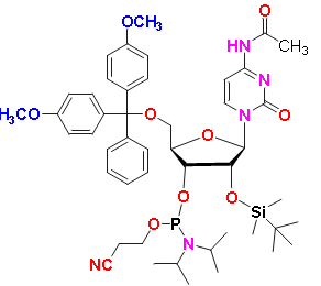 DMT-2′O-TBDMS-rC(ac) Phosphoramidite, CAS # 121058-88-6, MF:  C47H64N5O9PSi, MW: 902.1, 98%