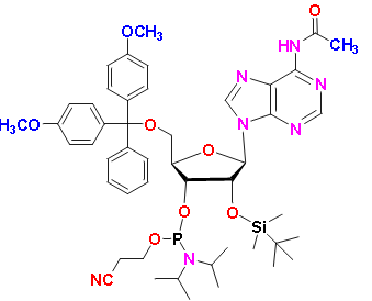N2-Acetyl-2&apos;-O-tert-butyldimethylsilyl-5&apos;-O-DMT-guanosine 3&apos;-CE Phosphoramidite, CAS # 944138-03-8, MF:  C48H64N7O9PSi, MW: 942.12, 98%