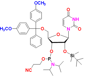 5&apos;-DMT-2&apos;O-TBDMS-rU Phosphoramidite, CAS # 118362-03-1, MF: C45H61N4O9PSi, MW: 861.05, 98%