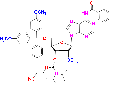 N-Benzoyl-5&apos;-O-(4,4&apos;-dimethoxytrityl)-2&apos;-O-methyladenosine-3&apos;-(2-cyanoethyl-N,N-diisopropyl)phosphoramidite, CAS # 110782-31-5, MF: C48H54N7O8P, MW: 887.96, 98%