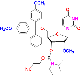 5&apos;-O-DMT-2&apos;-O-methyluridine 3&apos;-CE phosphoramidite, CAS # 110764-79-9, MF: C40H49N4O9P, MW: 760.81, 98%