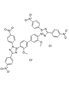 Tetra-nitrotetrazolium blue chloride (TNBT), 98%, CAS No. : [1184-43-6]