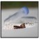 BENCHMARK Garnet Shards, Bulk, Acid Washed, 250g Bottle