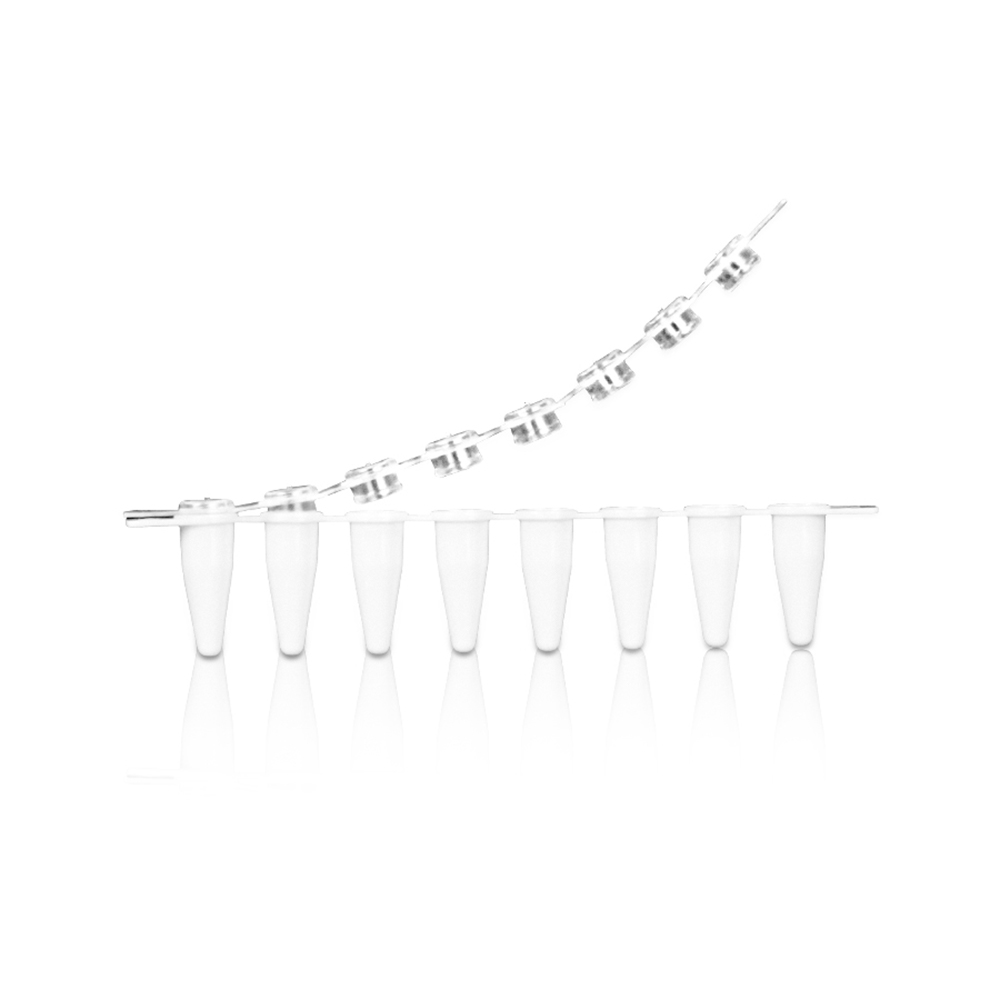 0.1mL 8-Strip Clear PCR Tube with 8-Strip Clear Domed Cap. Non-Sterile 125 strips/bag. 