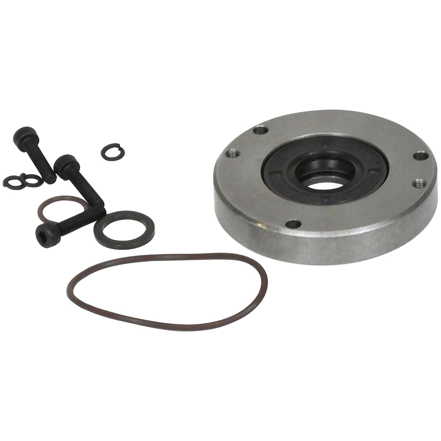 WELCH Lip Seal Kit for CRVpro 4,6,8